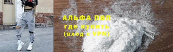 spice Вяземский