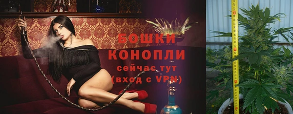spice Вяземский