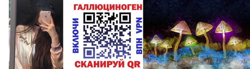 Псилоцибиновые грибы Psilocybe  Калининец 